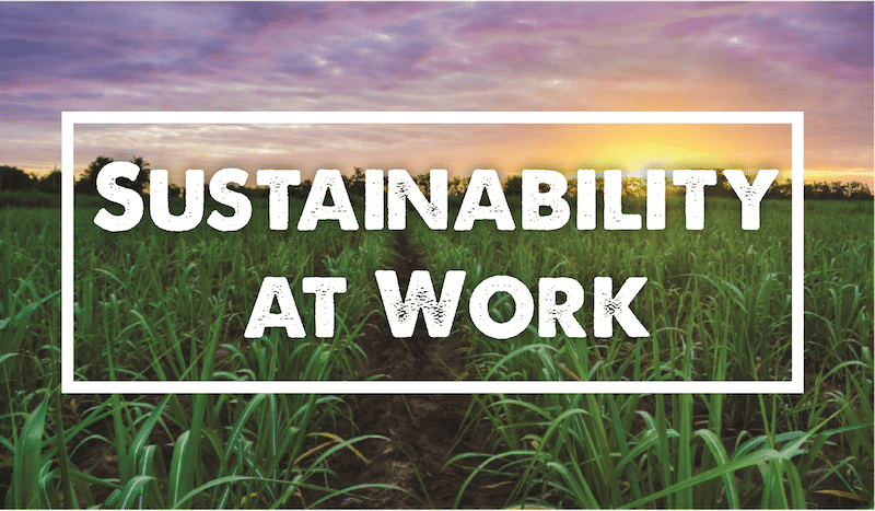 sustainability at work