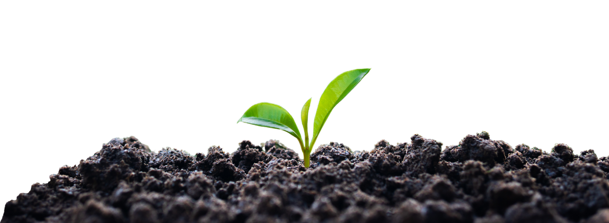 Sustainability Page Heading - Desktop