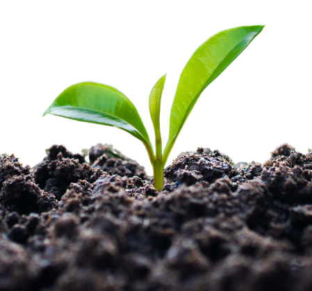 Sustainability Page Heading - Mobile