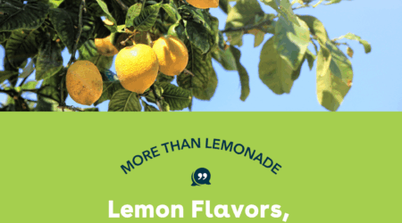 More Than Lemonade: Lemon Flavors, Trends, and Innovation Blog