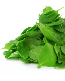 image of spinach